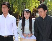 ��ϵ����