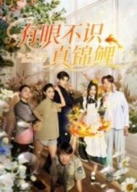 ���۲�ʶ�����