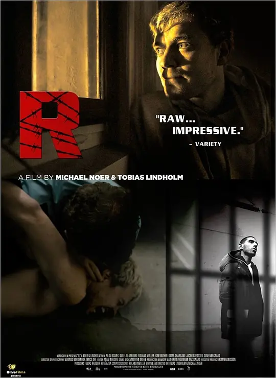 ����������Ӱ�ӽ�˵��