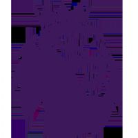 Ӣ�� ����vs����é˹20251103