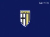 ������� ��������VS������ 20240921