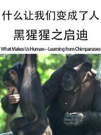 ʲô�����Ǳ�����ˡ���������֮����