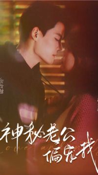 �����Ϲ�������